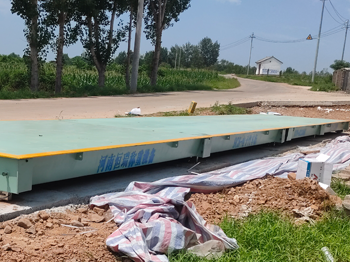 河南天康宏展農(nóng)牧公司100噸地磅